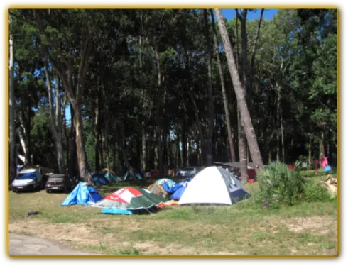 Carpas en zona de camping